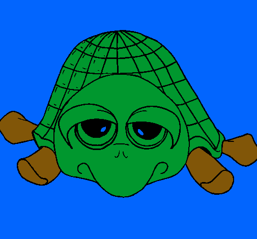 Tortuga