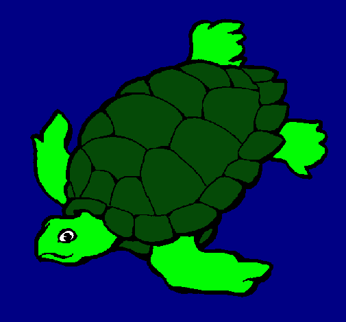 Tortuga