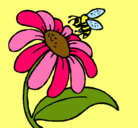 Dibujo Margarita con abeja pintado por nair