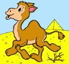 Dibujo Camello pintado por michellemendez