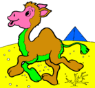 Dibujo Camello pintado por eillen