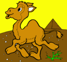 Dibujo Camello pintado por brian