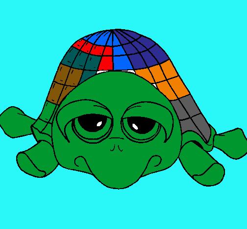 Tortuga