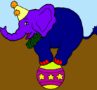 Dibujo Elefante encima de una pelota pintado por juandiego