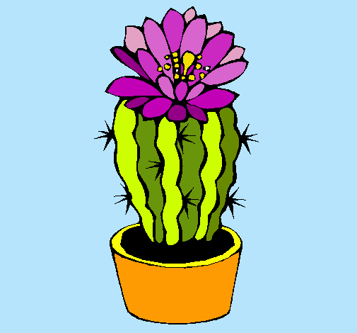 Cactus con flor