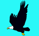 Dibujo Águila volando pintado por juanma0204