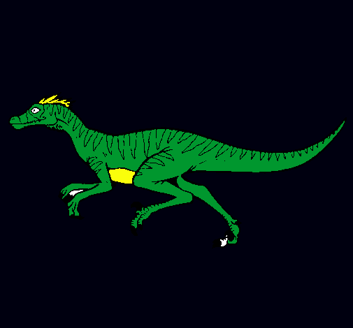 Velociraptor