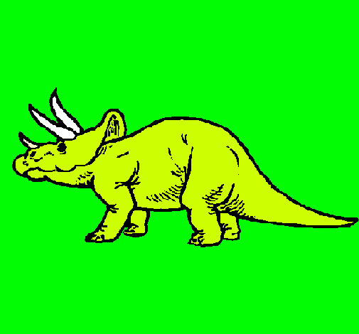 Triceratops