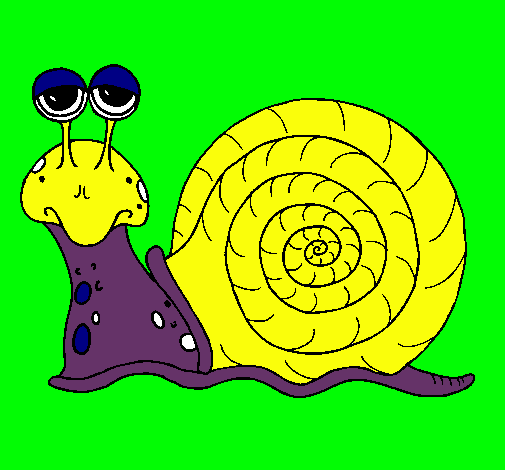 Caracol