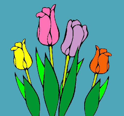 Tulipanes