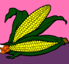 Dibujo Mazorca de maíz pintado por Hector10
