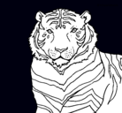 Dibujo Tigre pintado por juancarlos