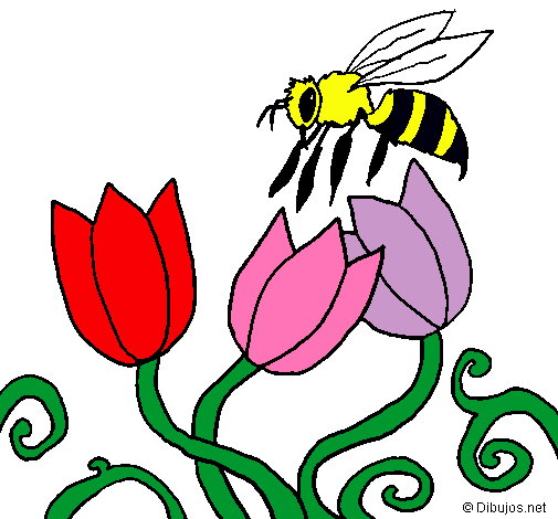 Abeja