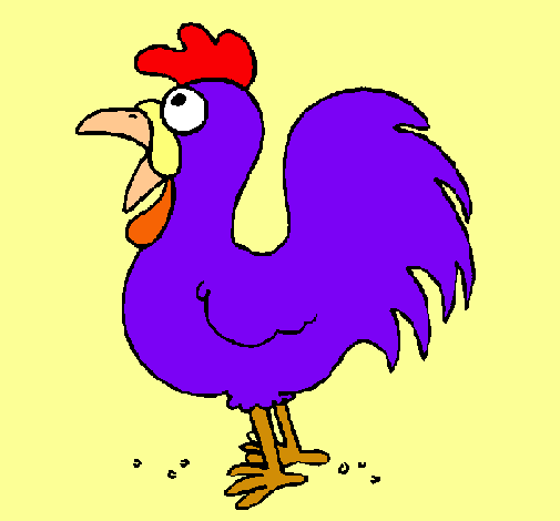 Gallo de granja