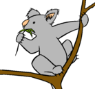 Dibujo Koala pintado por koala