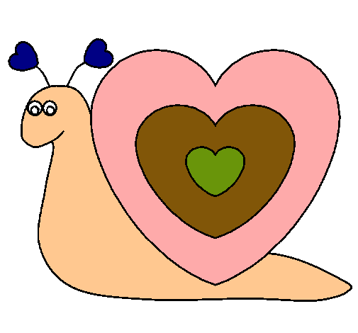 Caracol corazón