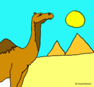 Dibujo Camello pintado por andrea