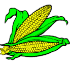 Dibujo Mazorca de maíz pintado por carlos