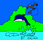 Dibujo Delfín y gaviota pintado por mike