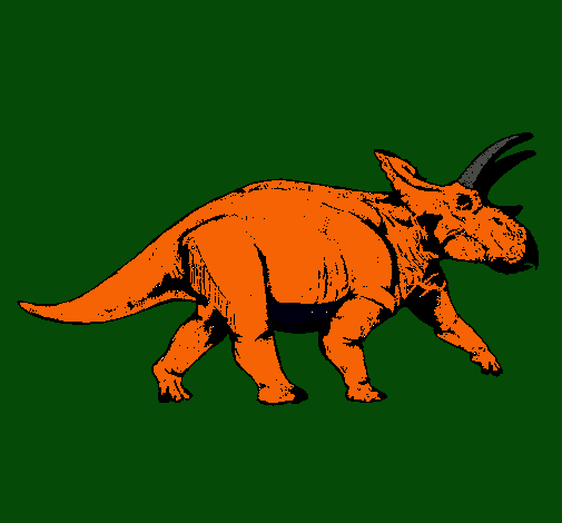 Triceratops