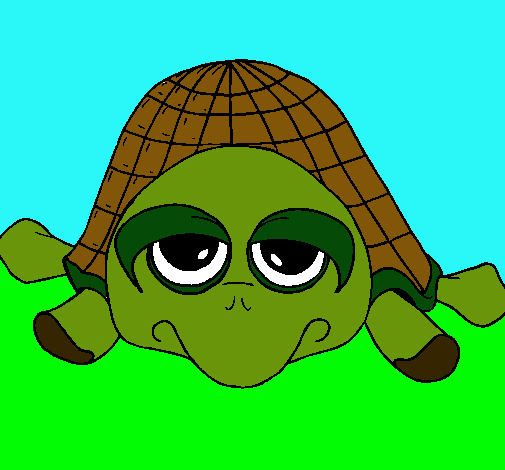 Tortuga