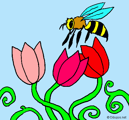 Abeja