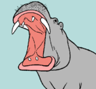 Dibujo Hipopótamo con la boca abierta pintado por jjjjjjjjj