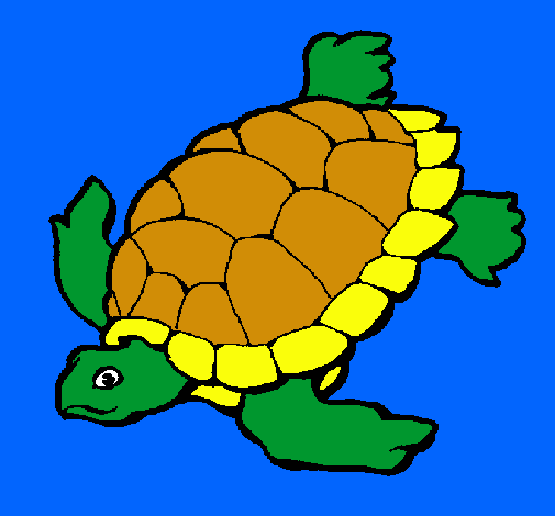 Tortuga