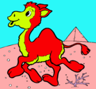 Dibujo Camello pintado por adriana.