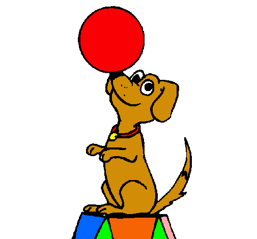 Perro de circo