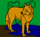 Dibujo Lobo pintado por erick