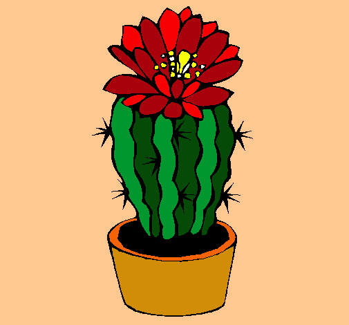 Cactus con flor