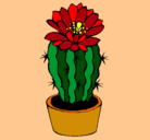 Dibujo Cactus con flor pintado por G*R*R*