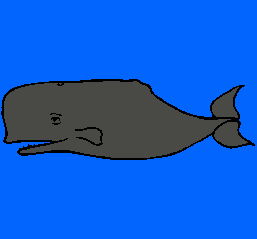 Ballena azul