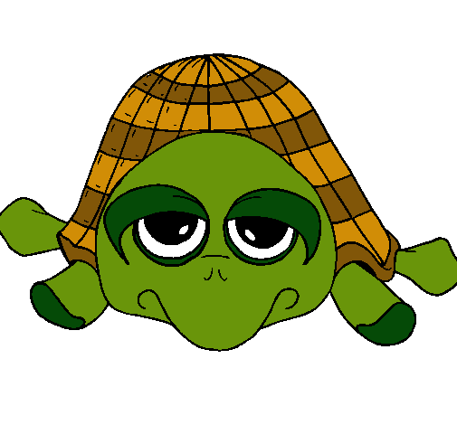 Tortuga