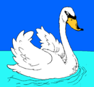 Dibujo Cisne en el agua pintado por cisnebonito