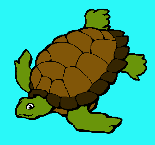 Tortuga