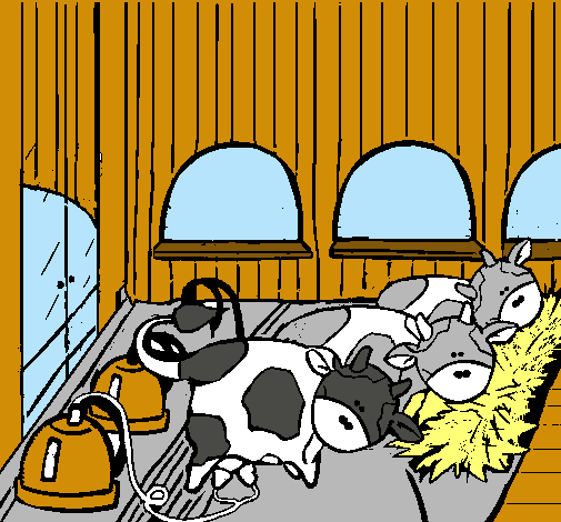 Vacas en el establo