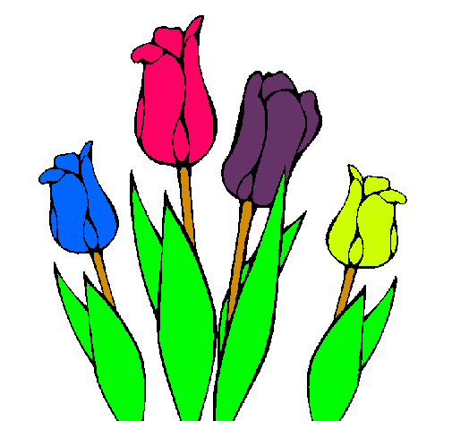 Tulipanes