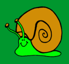 Dibujo Caracol  pintado por CLA