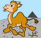 Dibujo Camello pintado por danella