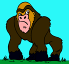 Dibujo Gorila pintado por tobias