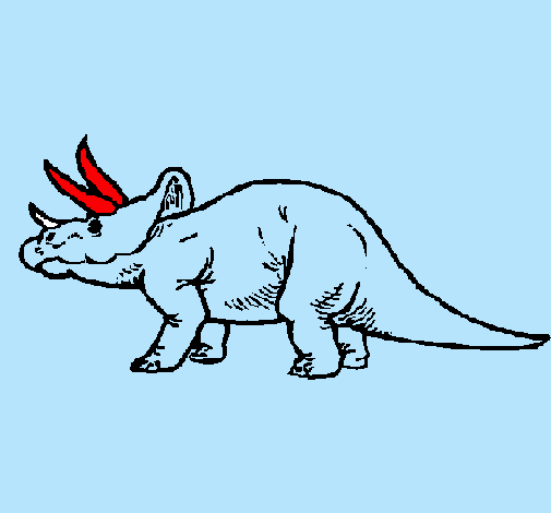 Triceratops