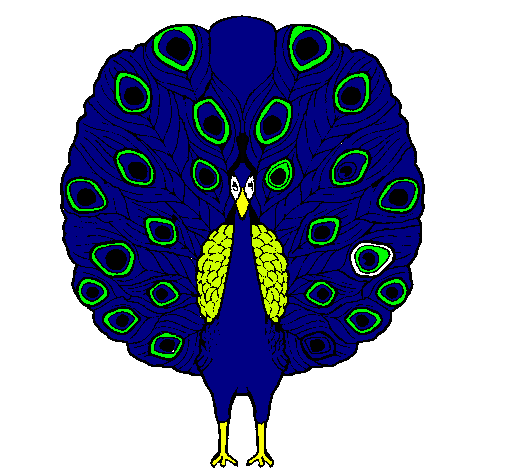 Pavo real