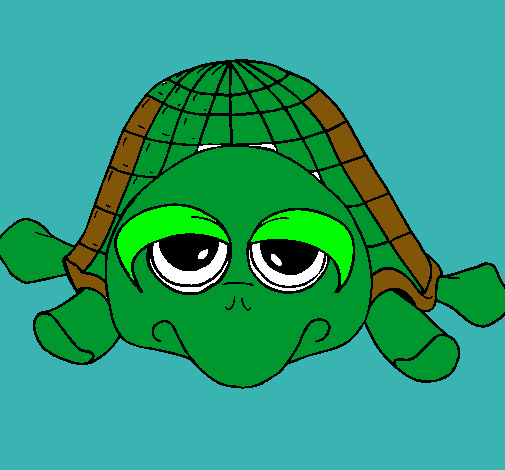 Tortuga