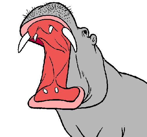 Hipopótamo con la boca abierta