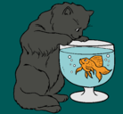 Dibujo Gato mirando al pez pintado por solmaripacheco