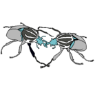 Dibujo Escarabajos pintado por ger