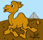 Dibujo Camello pintado por yely