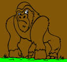 Dibujo Gorila pintado por bruno